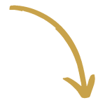 flecha-asesoramiento